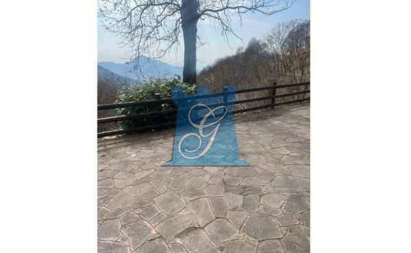BOZZA FOTO VERTICALI