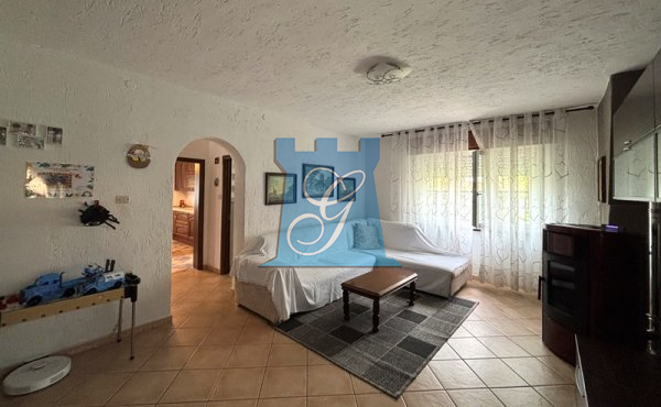 IMG_7621