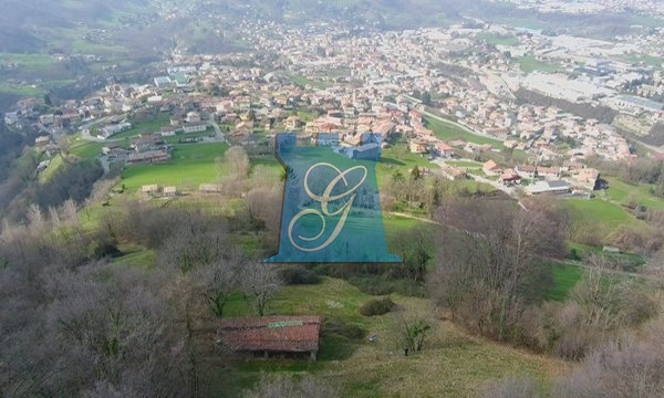 3a