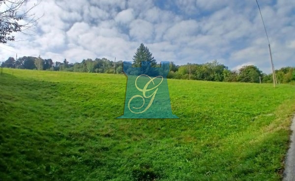 Terreno agricolo di circa 4.280 mq
